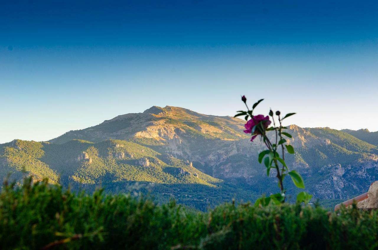 Casas Rurales Mirador Del Mundo Yeste Zewnętrze zdjęcie