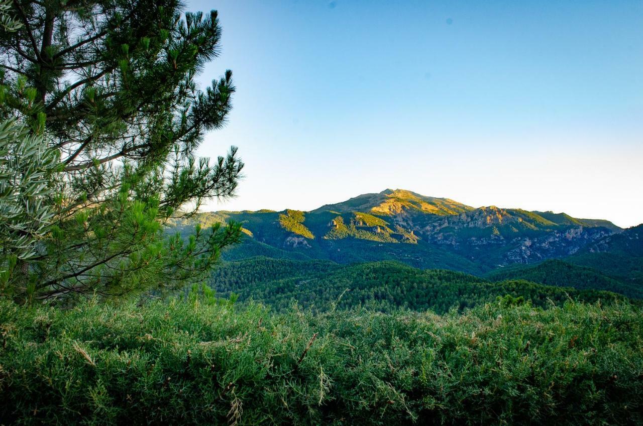 Casas Rurales Mirador Del Mundo Yeste Zewnętrze zdjęcie