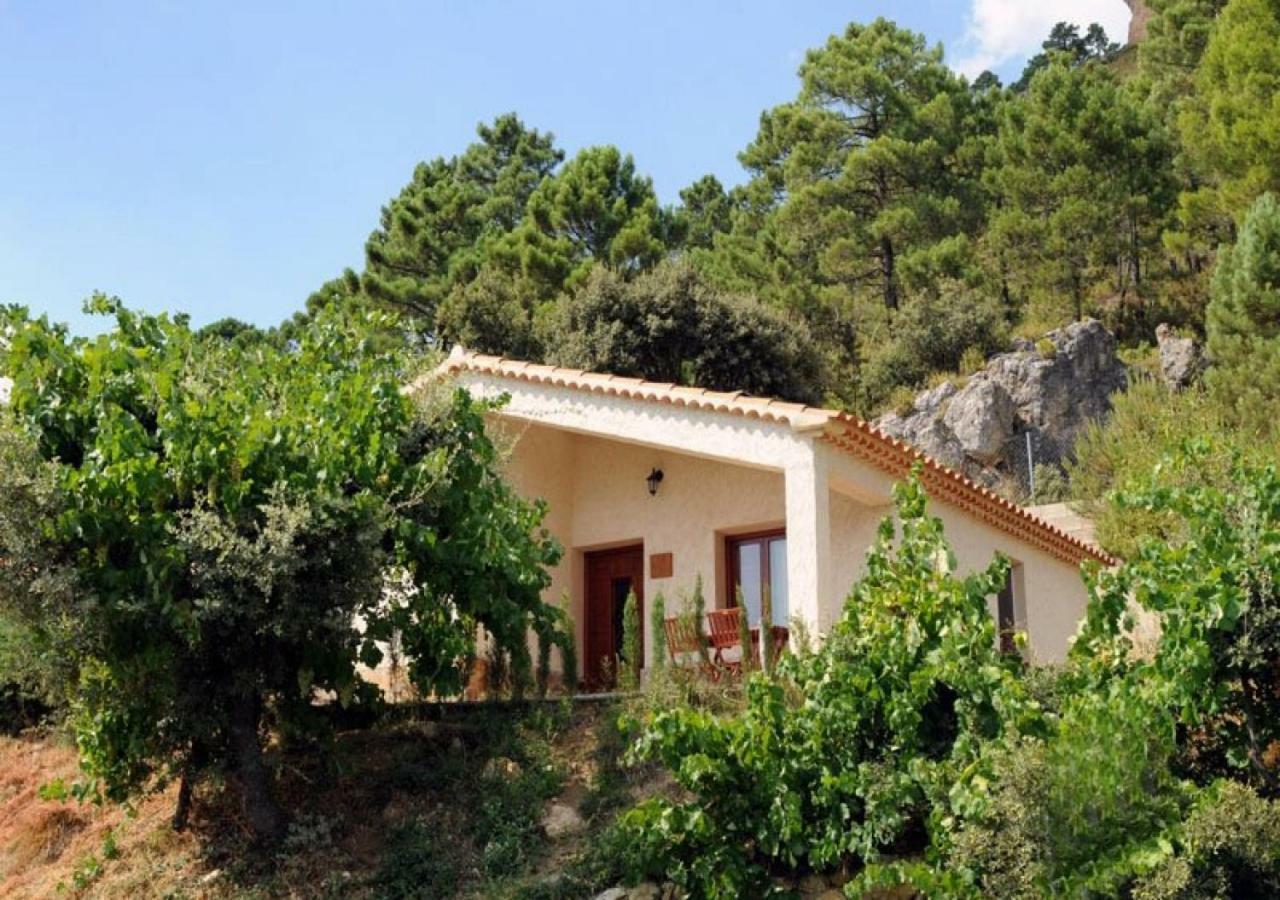 Casas Rurales Mirador Del Mundo Yeste Zewnętrze zdjęcie